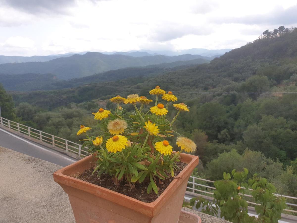Bed & Breakfast Ca' Di Vissai Arnasco Eksteriør billede