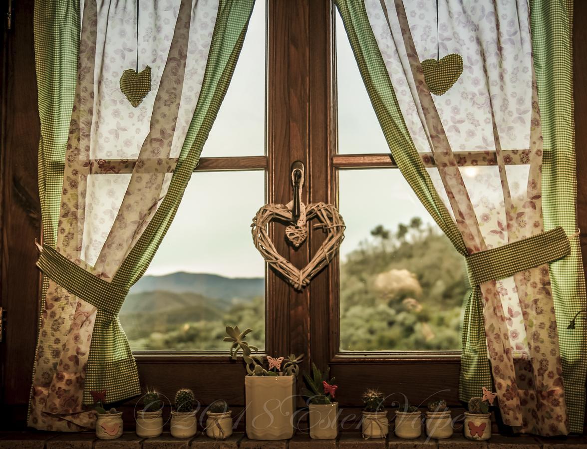 Bed & Breakfast Ca' Di Vissai Arnasco Eksteriør billede
