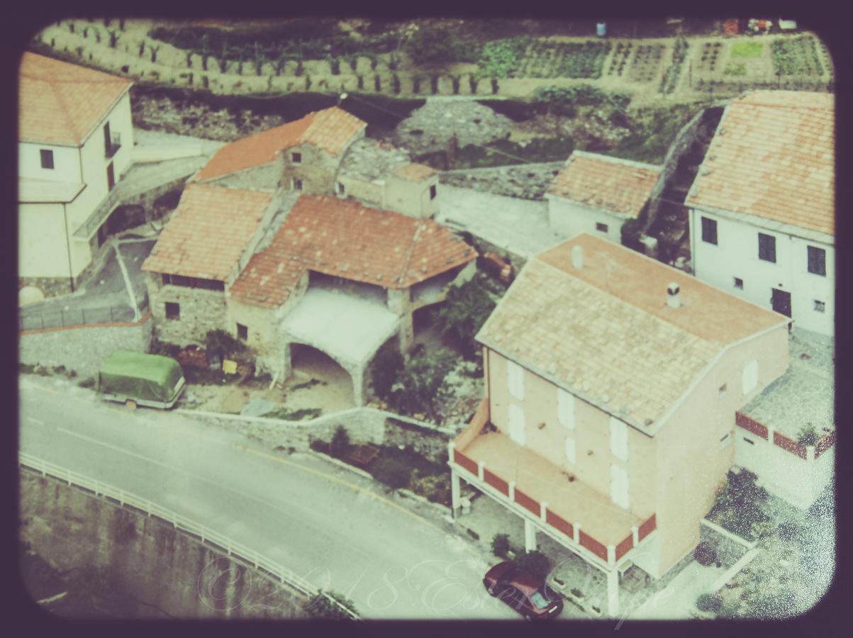 Bed & Breakfast Ca' Di Vissai Arnasco Eksteriør billede